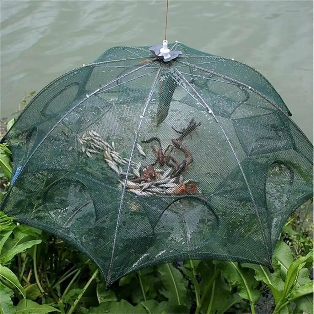 S1c969ec879ca41bebc9c81feca9c12821